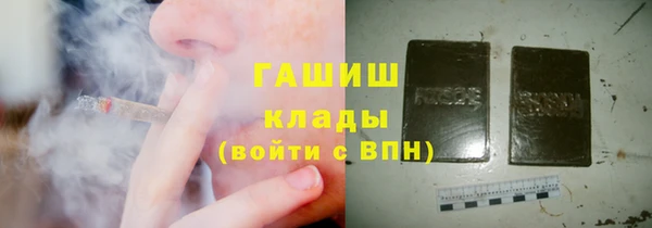 стаф Алзамай