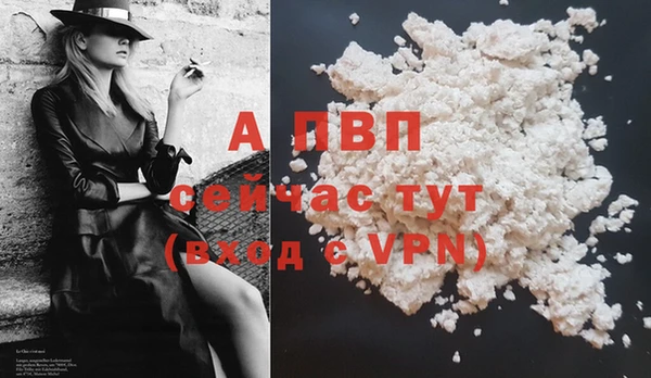 гашик Абаза