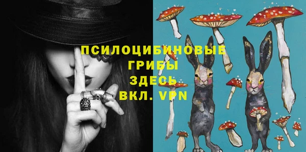 гашик Абаза