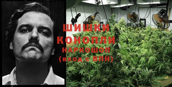 гидропоника Абинск